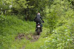 Triumph Tiger 900 Rear View